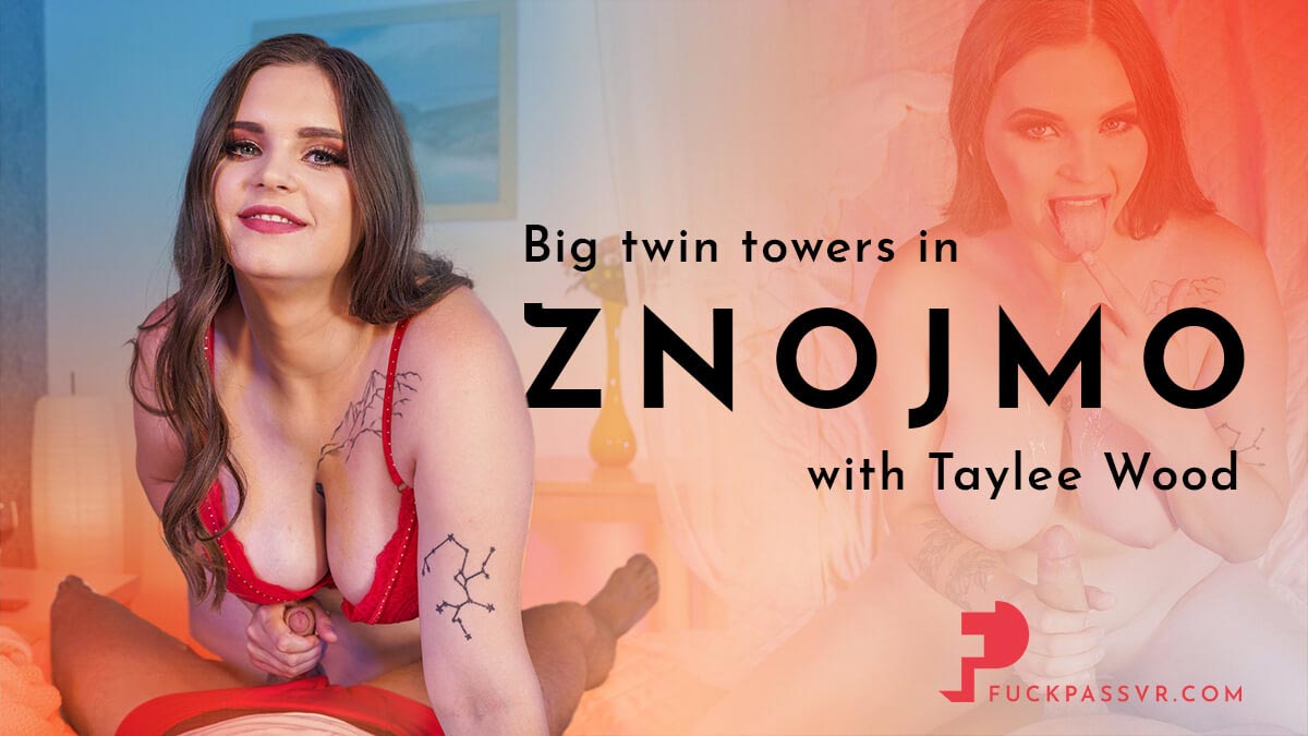 Big Twin Towers in Znojmo